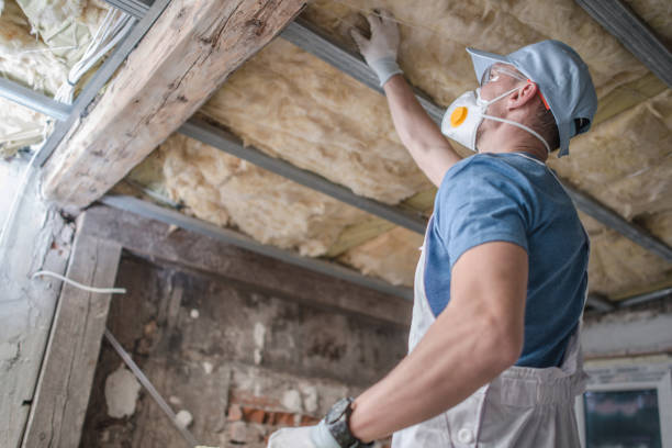 Best Spray Foam Insulation in Kyle, TX