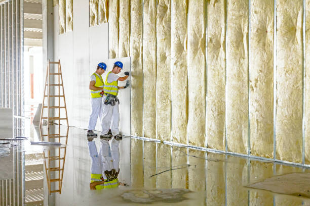Best Blown-in Insulation in Kyle, TX